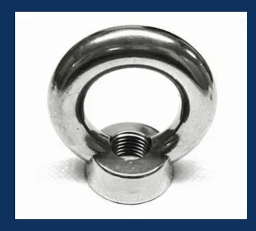 ASTM F467 Eye Nuts