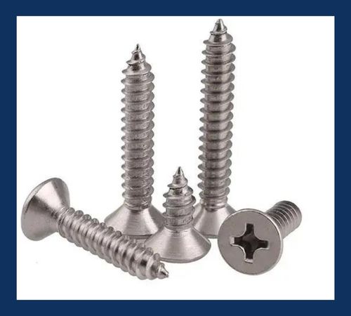 Stainless Steel Screw